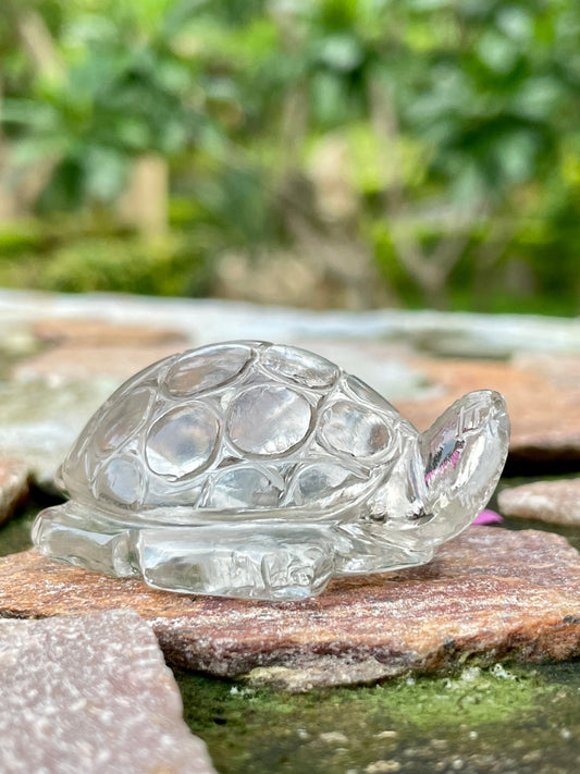 Clear Quartz Crystal Turtle